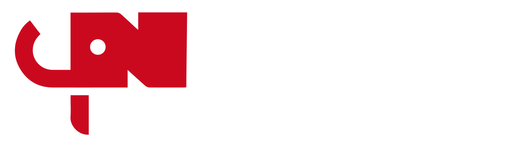 Ngwa Youth